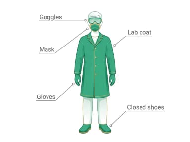 Illustration of lab personal protective equipment: goggles, gloves, and lab coat