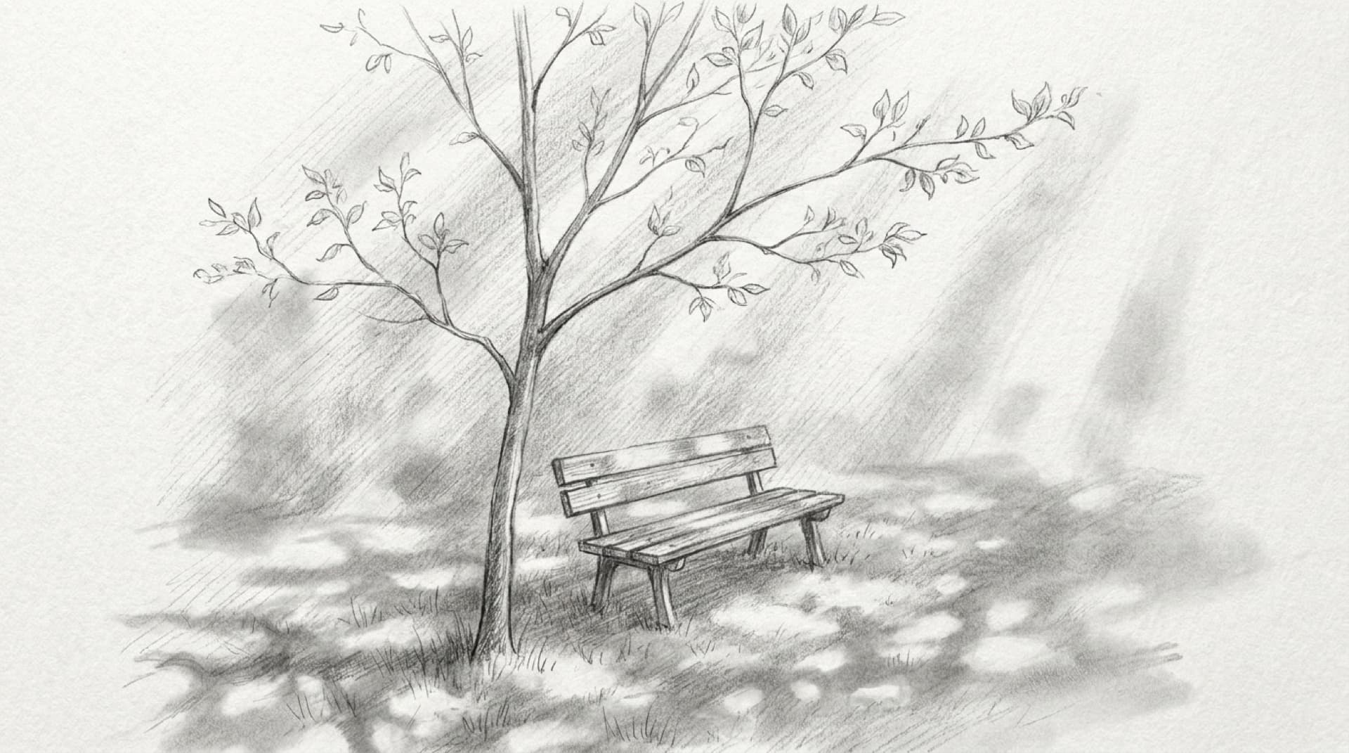 Graphite drawing of a young tree in full leaf, an empty bench in its dappled shade