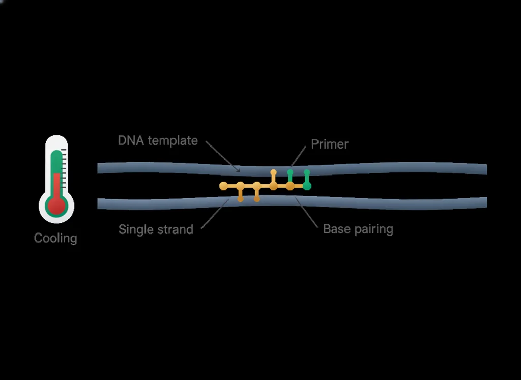Labeled illustration: annealing