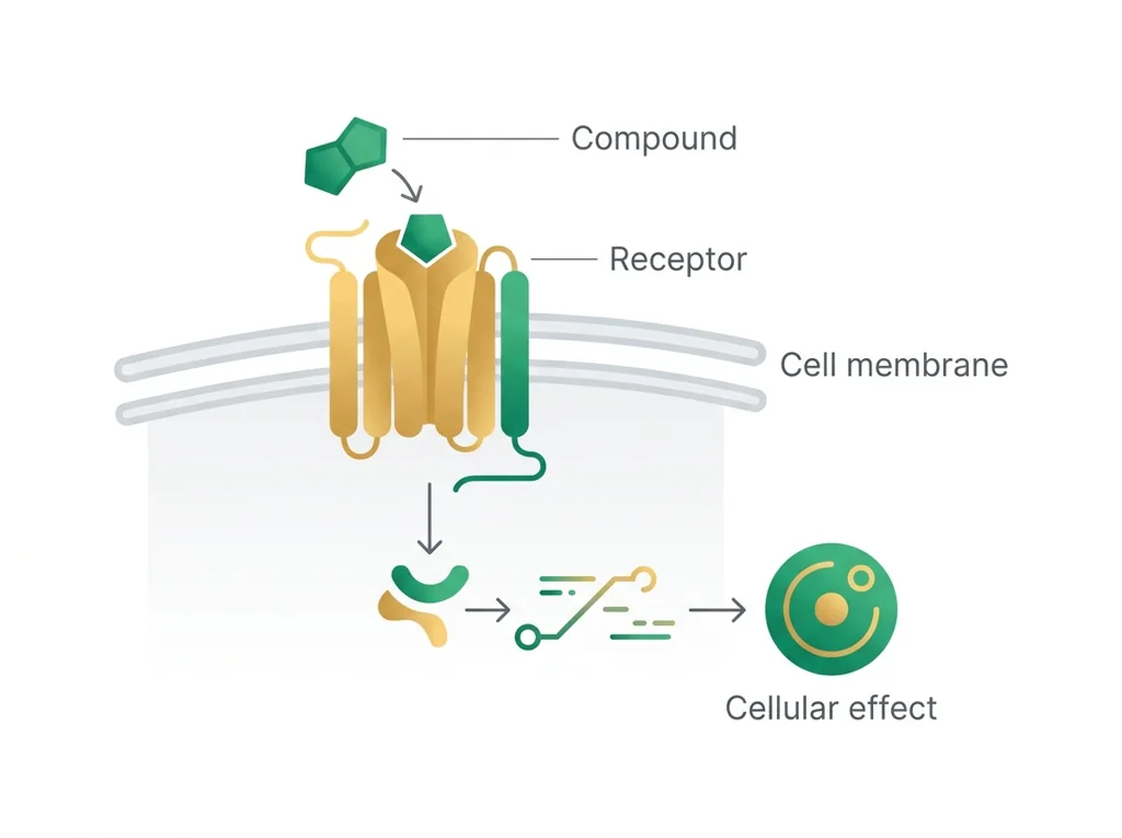 Labeled illustration: bioactive compound