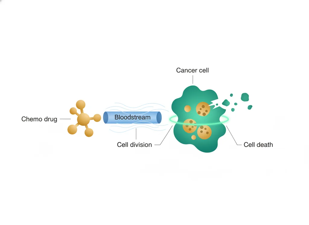 Labeled illustration: chemotherapy