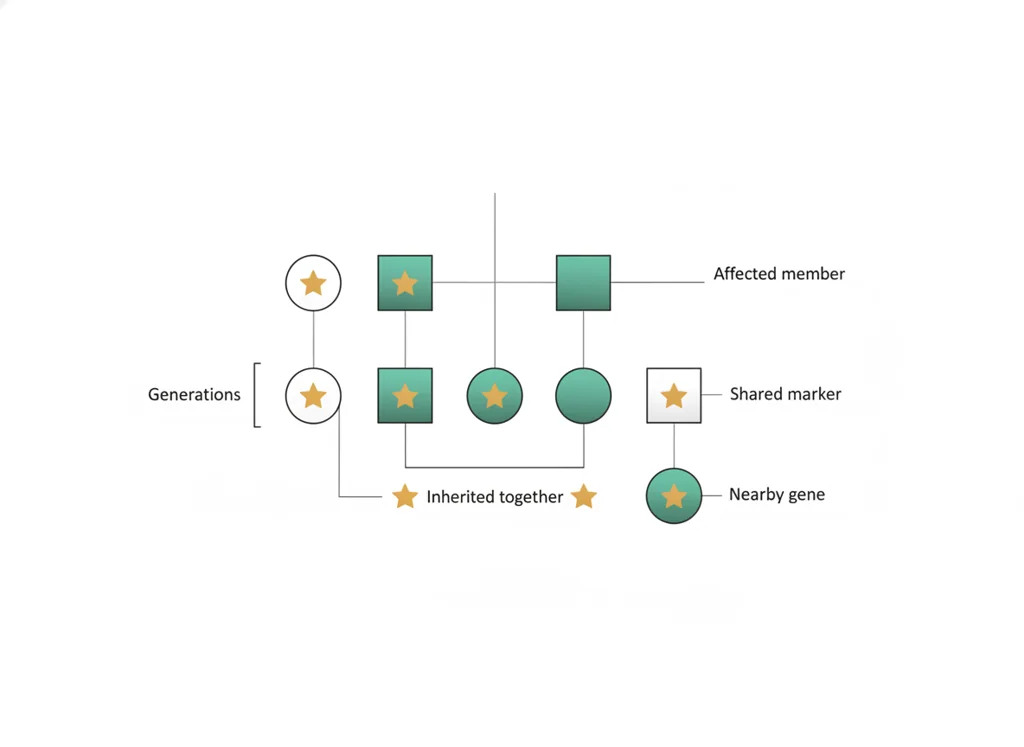 Labeled illustration: co-segregation