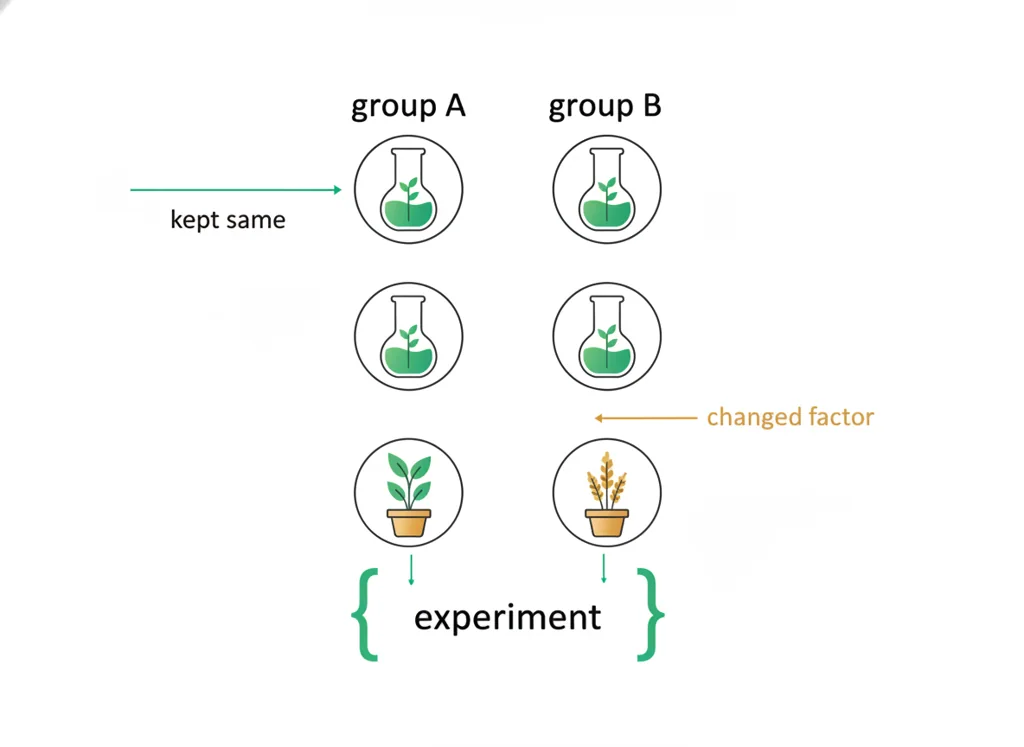 Labeled illustration: controlled variable