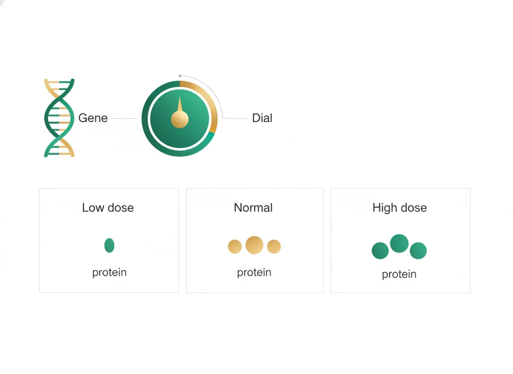 Labeled illustration: gene-dosage modulation