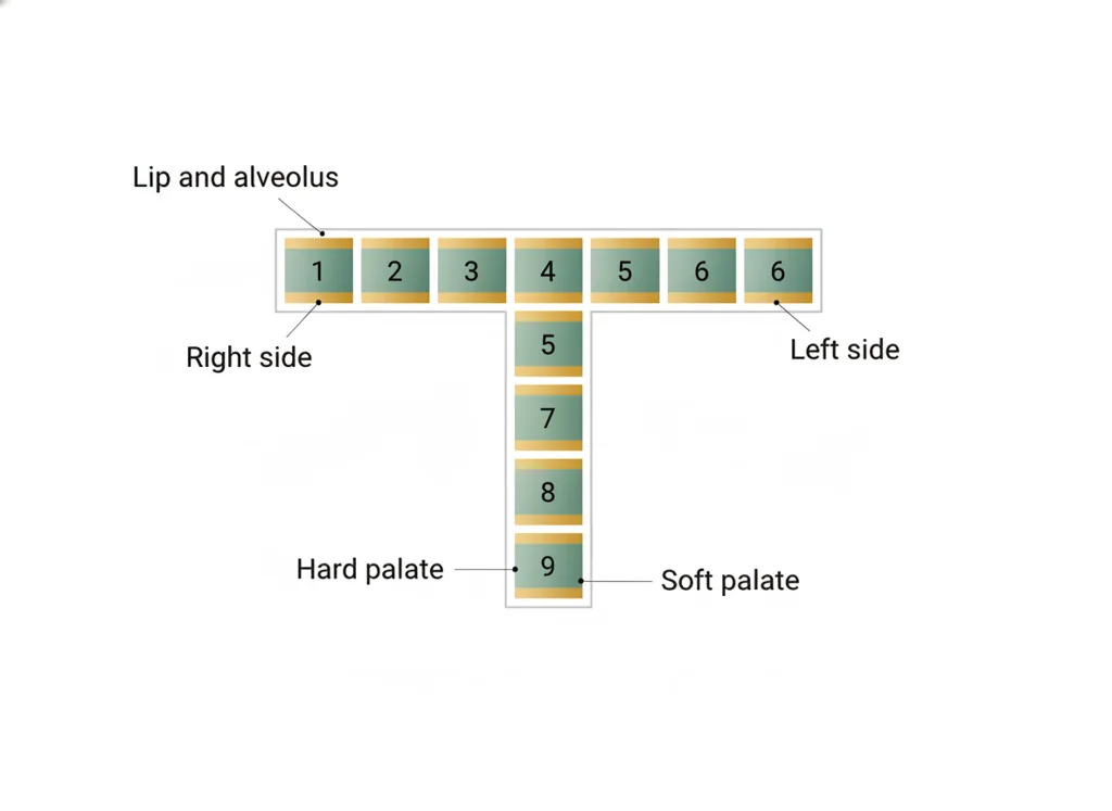 Labeled illustration: Kernahan striped-Y