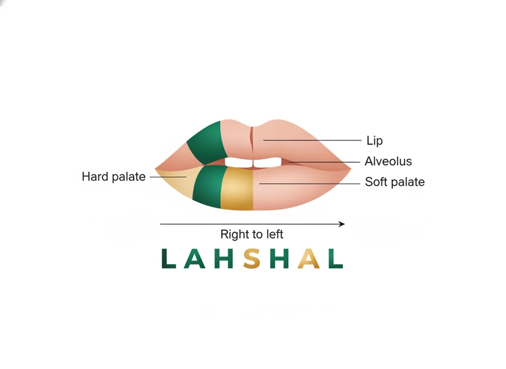 Labeled illustration: LAHSHAL
