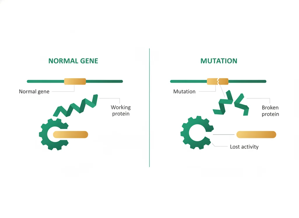 Labeled illustration: loss of function