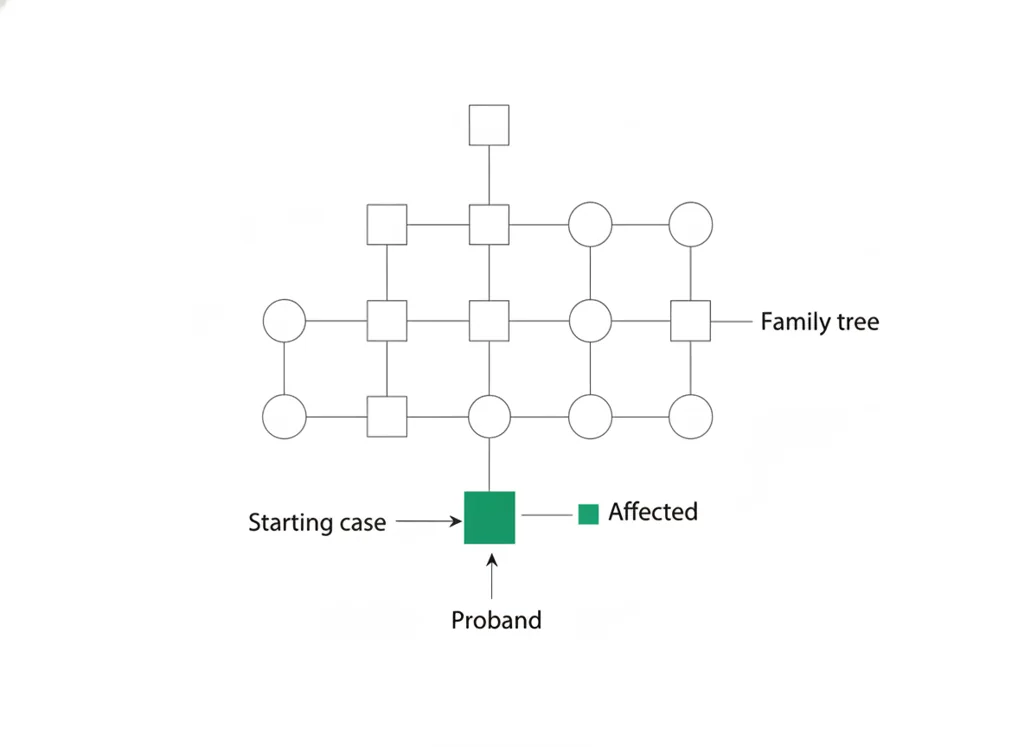 Labeled illustration: proband