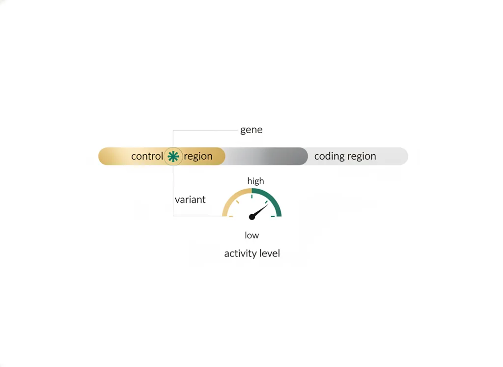 Labeled illustration: regulatory variant