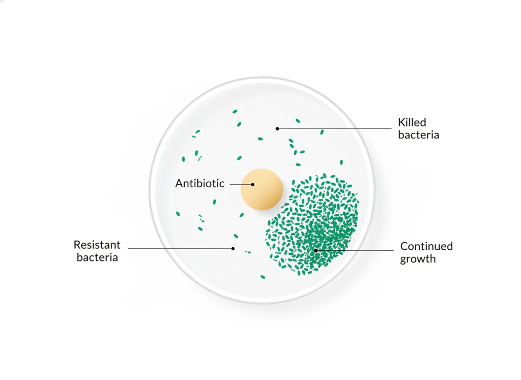 Labeled illustration: resistant