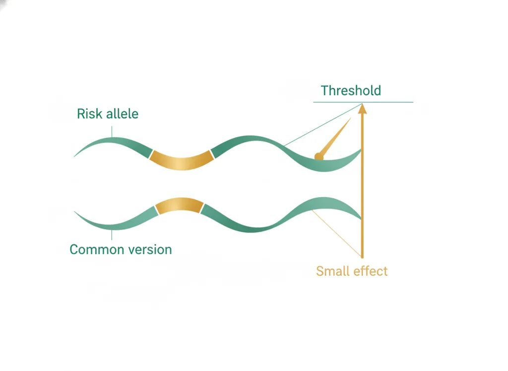 Labeled illustration: risk allele