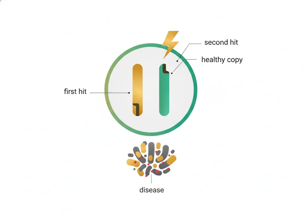 Labeled illustration: second hit