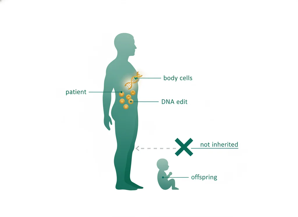 Labeled illustration: somatic editing