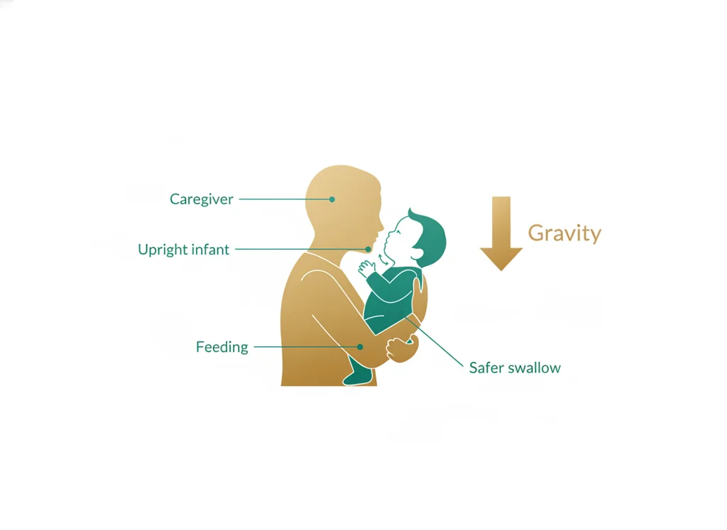 Labeled illustration: upright positioning