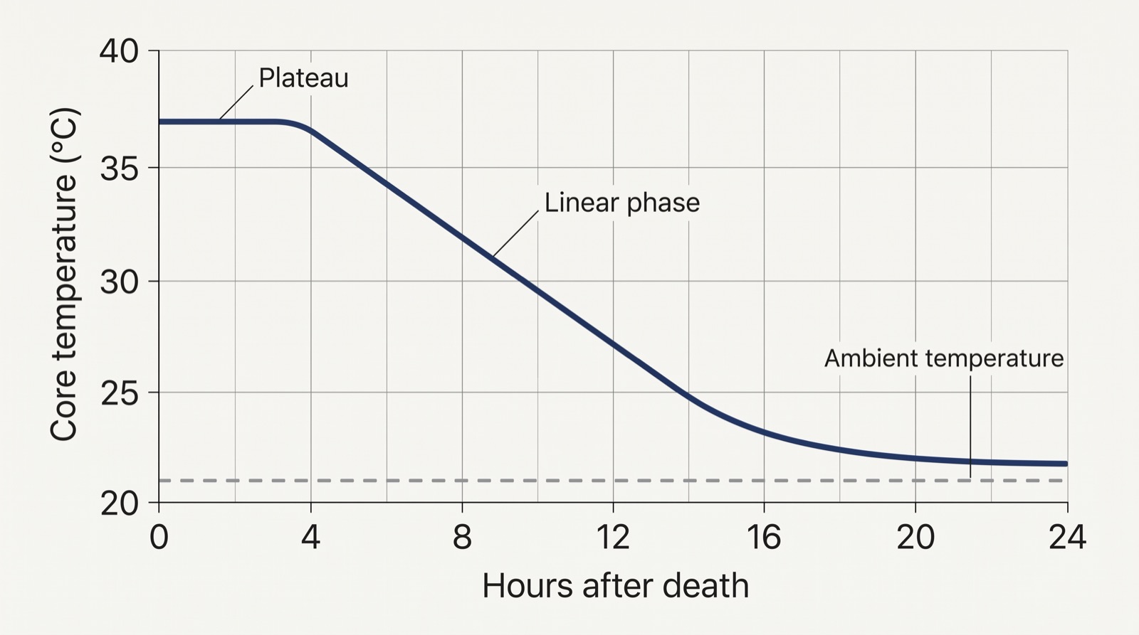 A line graph. The horizontal axis is hours after death from 0 to 24. The vertical axis is core temperature in degrees Celsius from about 20 to 37. The curve holds flat near 37 degrees for roughly the first three and a half hours, then falls steeply and almost straight until about 14 hours, then bends and flattens as it approaches a dashed horizontal line labelled ambient temperature at about 21 degrees, which it never reaches.