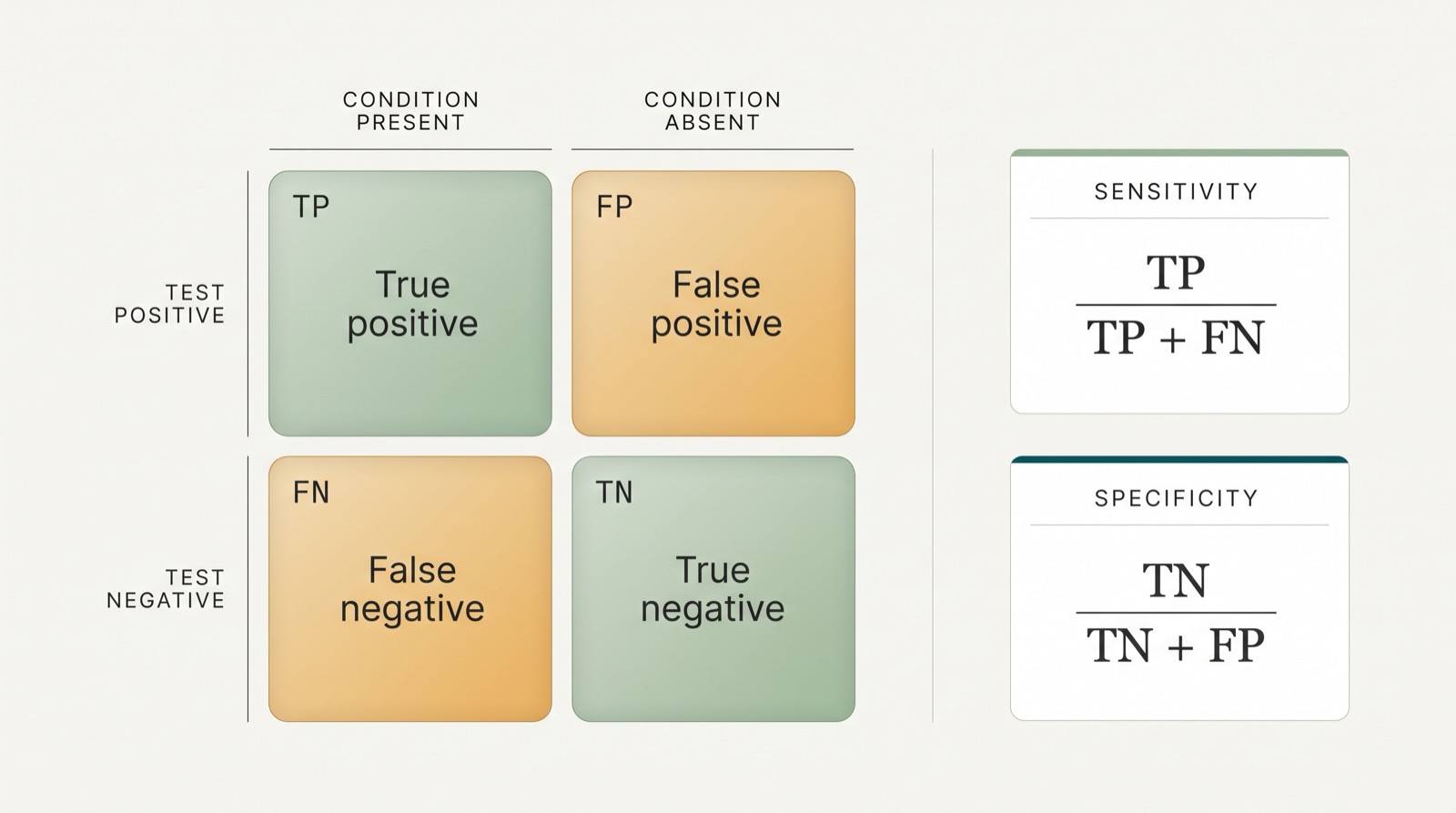 A two by two table. Columns read condition present and condition absent. Rows read test positive and test negative. The four cells read true positive, false positive, false negative and true negative. Below the table two formulas are set as fractions: sensitivity equals T P over T P plus F N, and specificity equals T N over T N plus F P.